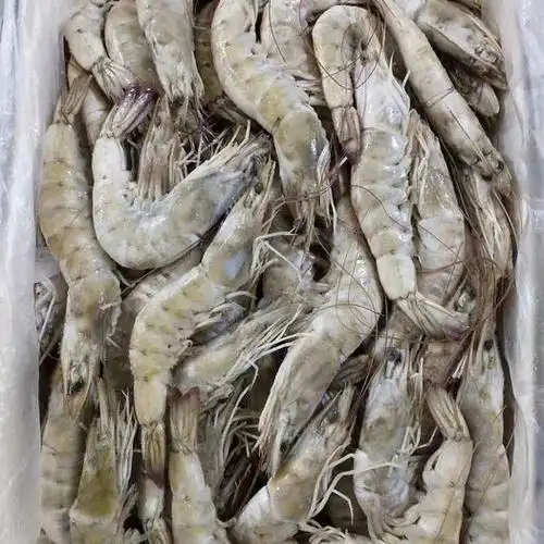 目前进口南美虾冻虾还能吃吗