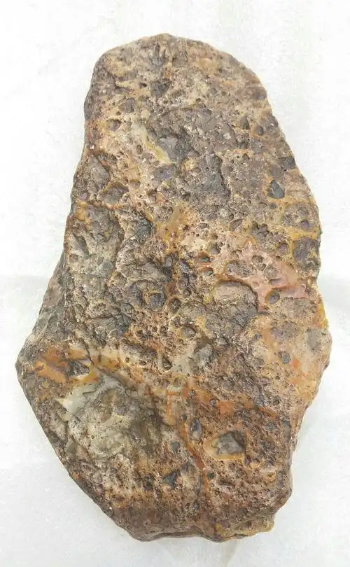 黄色角砾岩陨石的正反两面