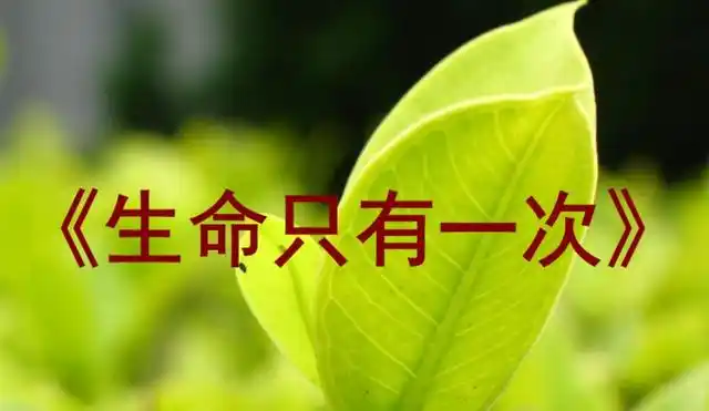生命只有一次,人生不可重来