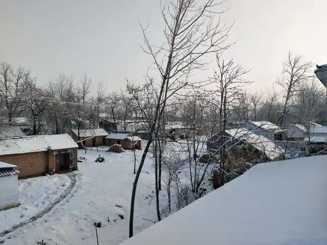 一场雪美了我们的农村