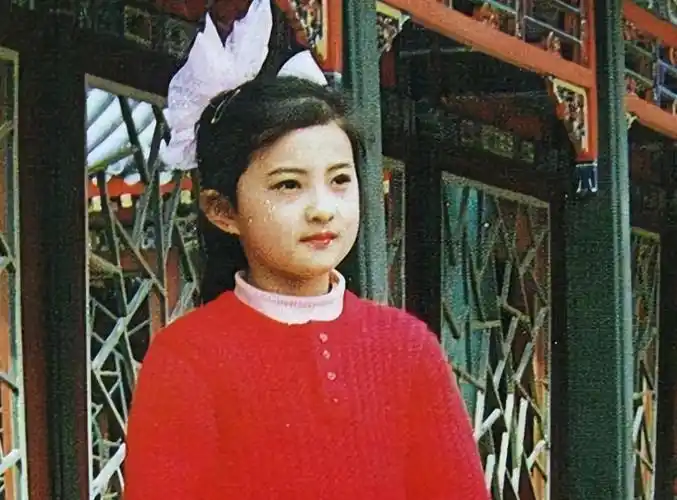 事实证明,"小婉君"金铭已经在一条"不归路"上,越走越远_腾讯新闻