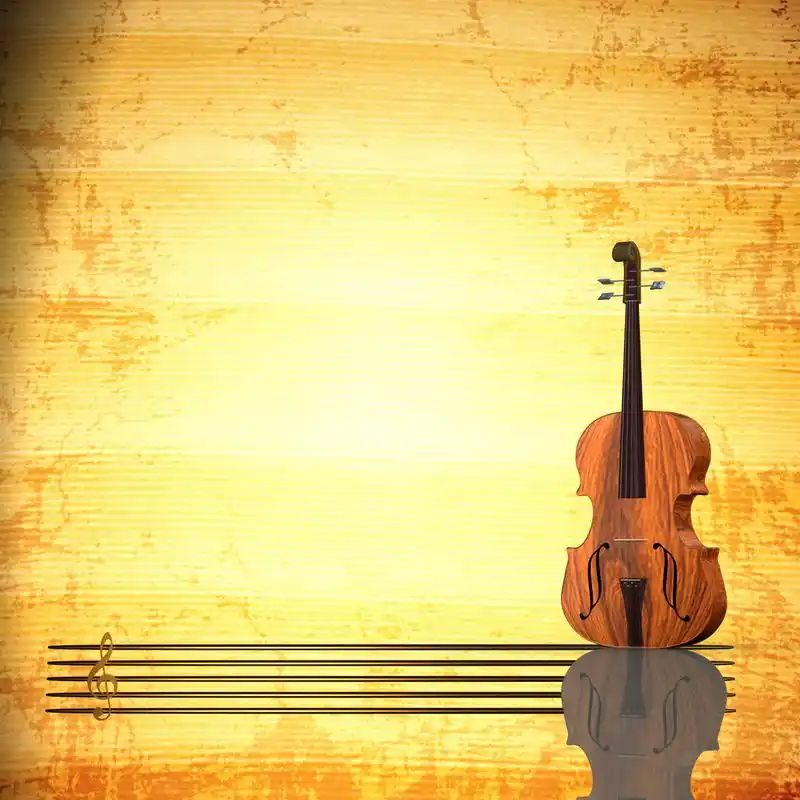 孤立的大提琴,在白色背景下孤立的大提琴