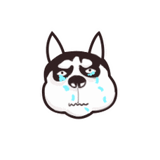 表情包|哈士奇表情包(啊哈)