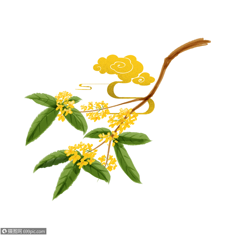 卡通桂花边框背景图片