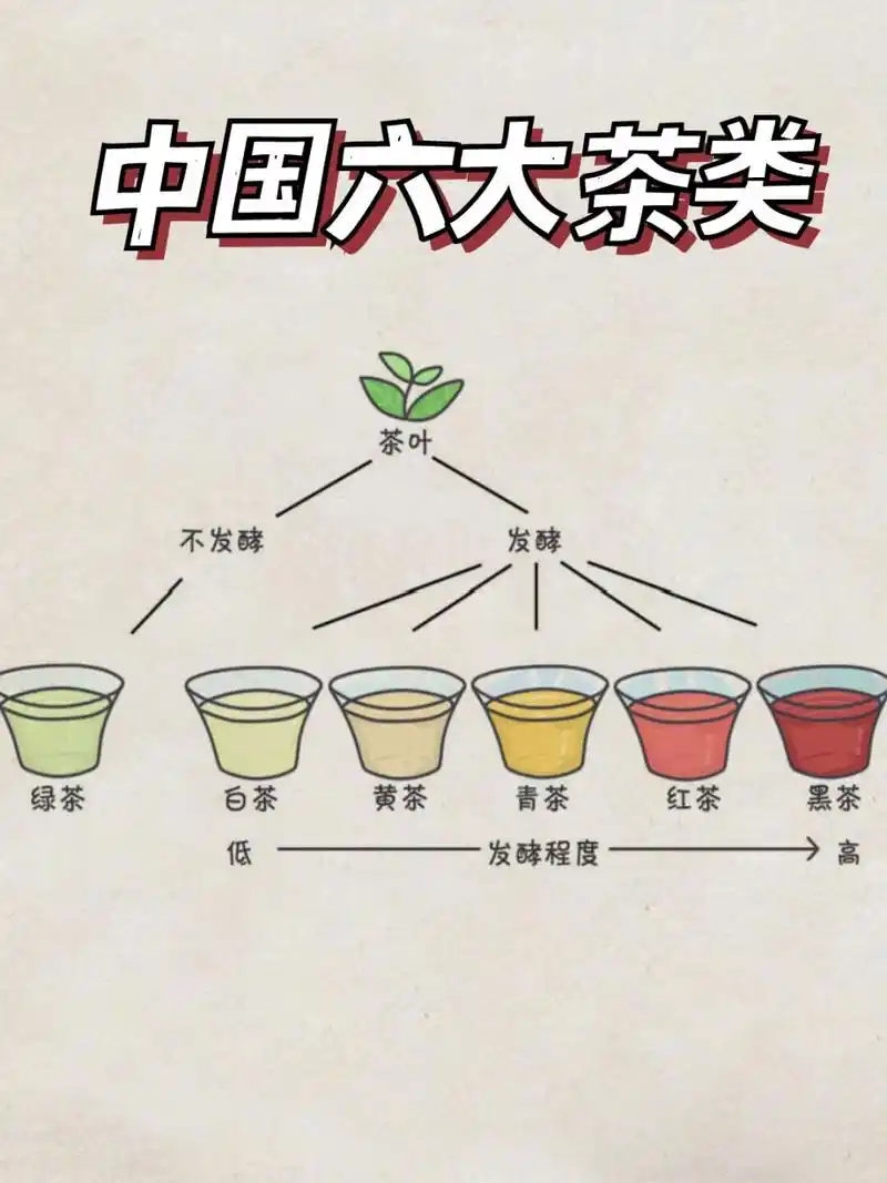 61566大茶类的科普8715以及如何挑选合适的 78中国茶叶历史