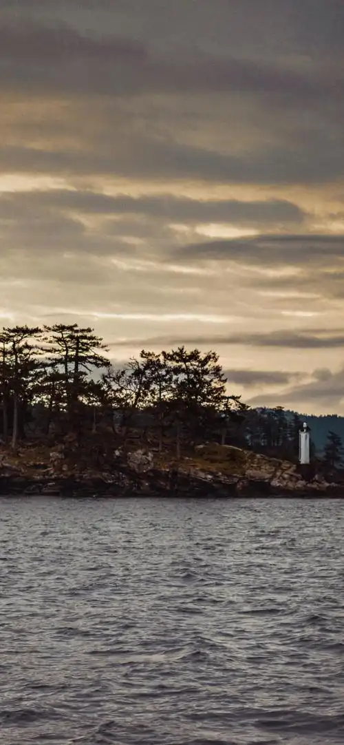 苹果11锁屏/壁纸/聊天背景图片