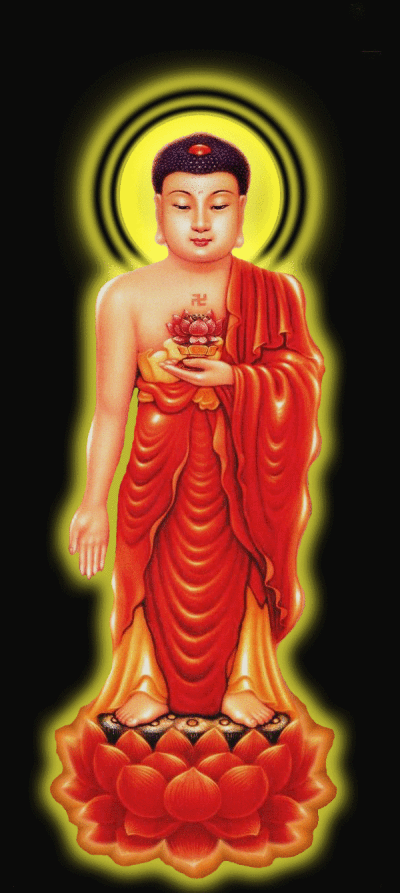 400_893竖版 竖屏gif 动态图 动图