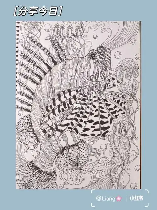 海洋系列装饰画—黑白线描