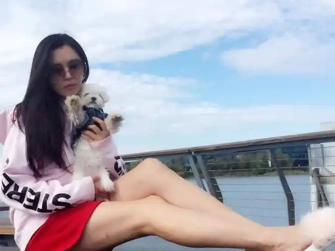 一代女神王祖贤,赤木晴子的真正原型-24直播网