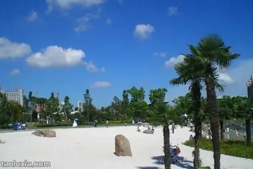 白沙滩_上海静安大宁公园攻略_探路侠