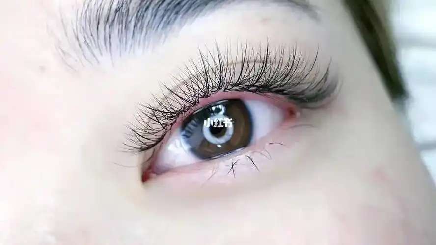 美睫单根圆毛77手开花睫毛