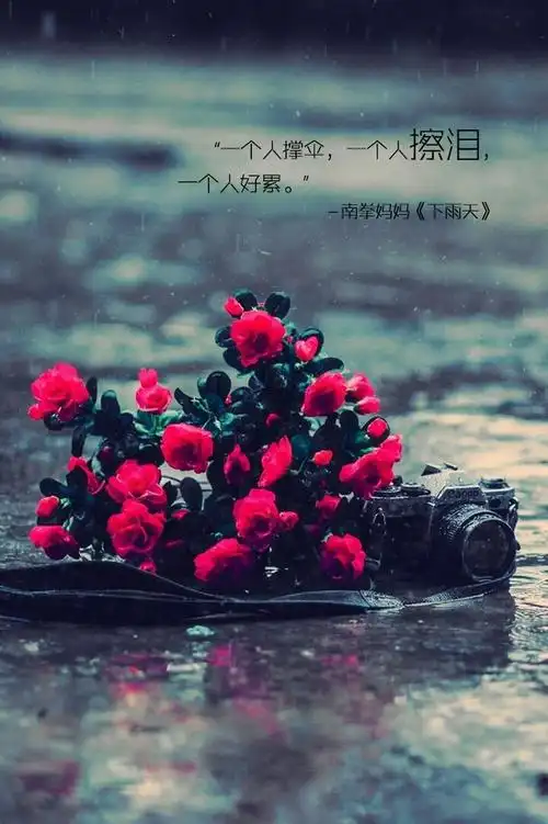 唯美图片伤感个性带字lomo意境美图 -唯美图片-唯美图片大全