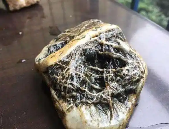 男子坟前捡到花纹奇特的石头爷爷怕会带来不详鉴定后乐坏了