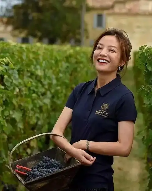 中国人买法国酒庄后改名被吐槽,赵薇:个人行为,非文化入侵