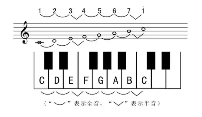 乐理全音与半音的关系