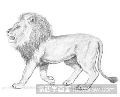 狮子之凶猛,也是人生之不可缺.