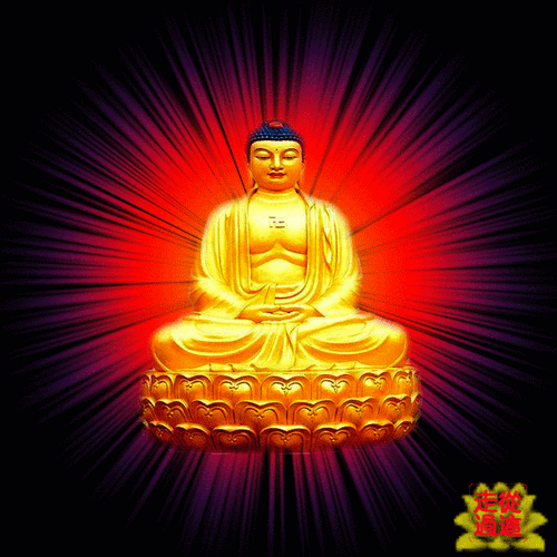 佛教的图文精品全收集了,,请您欣赏!