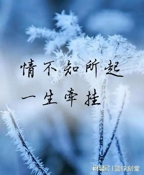 彼此的牵挂是修来的福相互问候是难求的缘