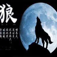 孤狼啸月头像寓意_微信头像图片大全