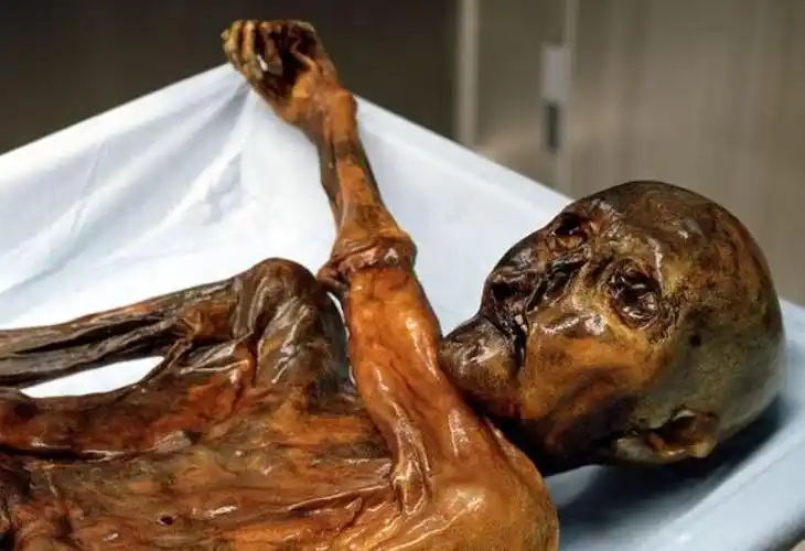 木乃伊是人还是鬼尸体千年不腐是怎么形成的