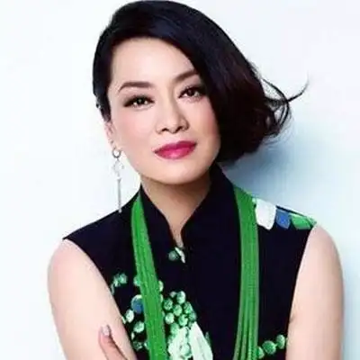 毛阿敏老公公司拖欠农民工300万 逾两年未还也联系不到人(2)|毛阿敏|