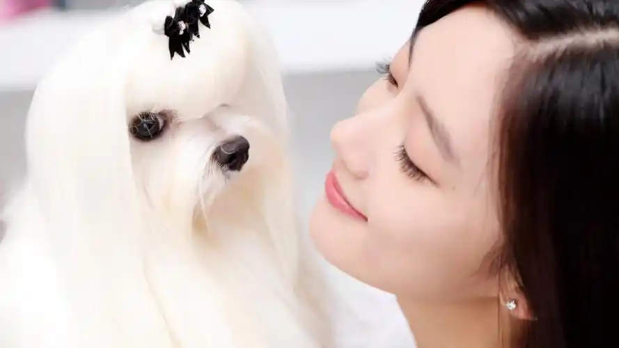 韩国美女李成敏壁纸-美女壁纸-高清美女图片-第2图-娟娟壁纸