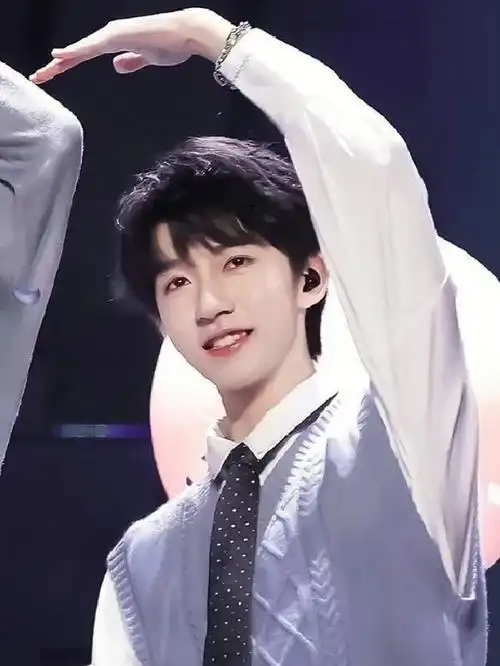 贺峻霖另一半分析