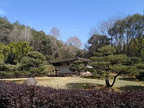 2021万春园游玩攻略,.什么的,都在这,分不清,.【去哪儿攻略】