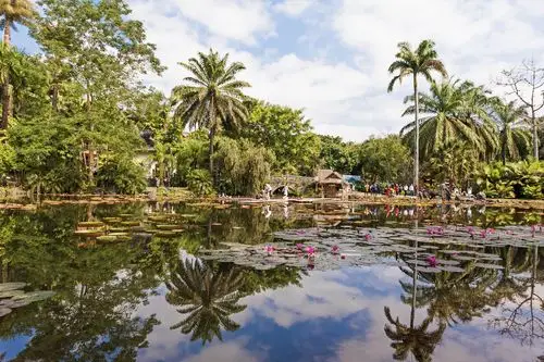 西双版纳热带植物园 - 美篇