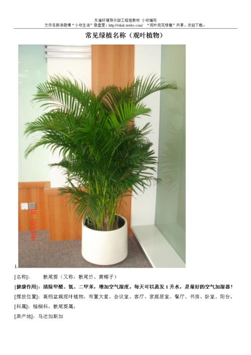 常见观叶观花绿植.doc