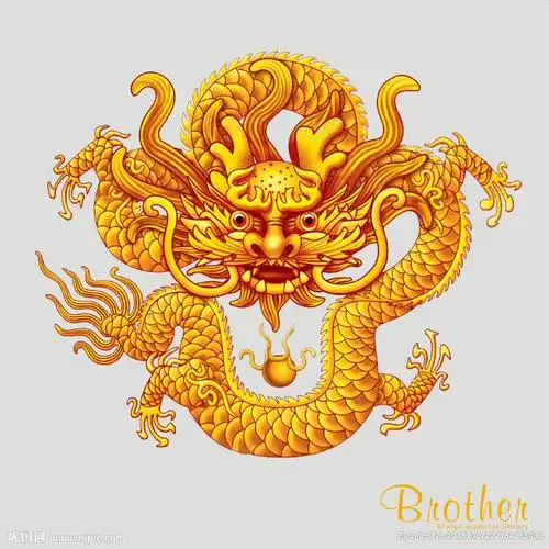 金龙图片