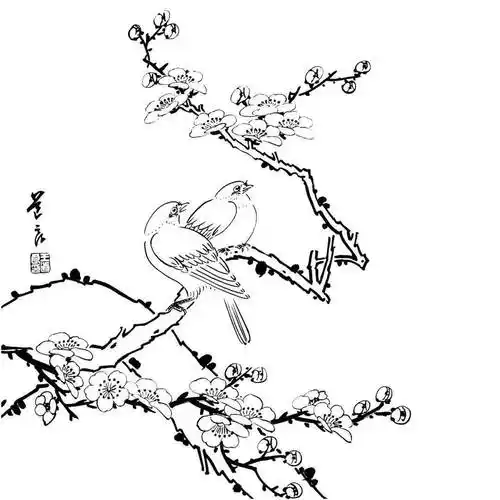 花鸟的白描,就应该这么画_图文