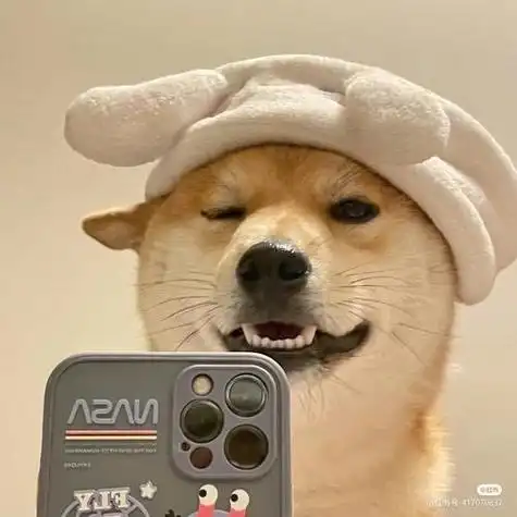 动物沙雕搞笑头像男生 男生头像图片大全 -【爱个性】