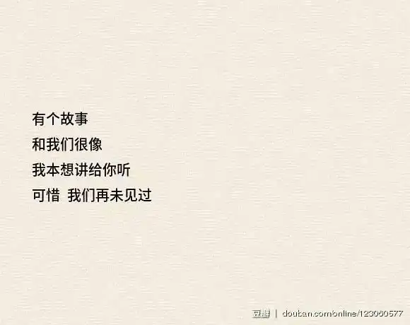 王家卫式的文案,看完我的假期病好了