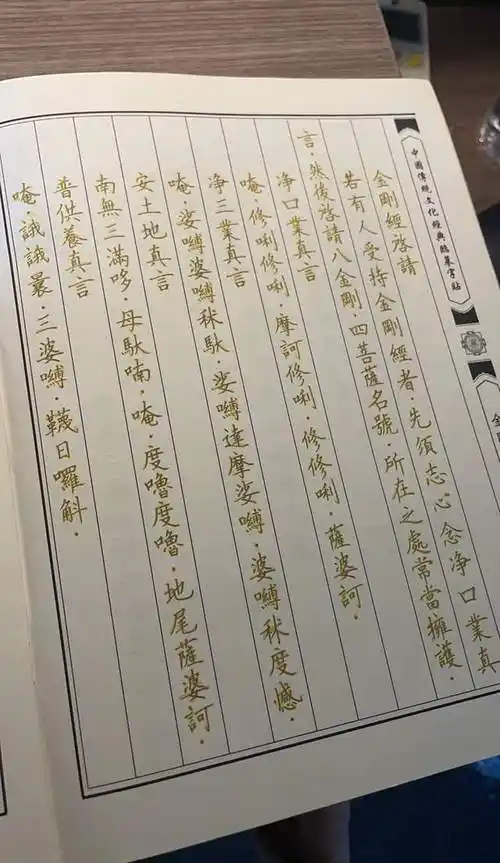 好事张伟丽钻研金刚经已看淡胜负再战罗斯必将回击泰森