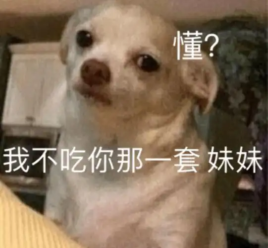我不吃你那一套妹妹懂沙雕汪星人表情包