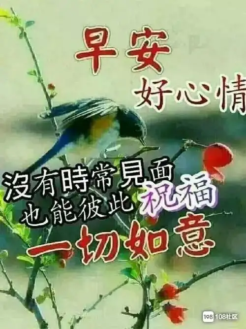 大家早上好