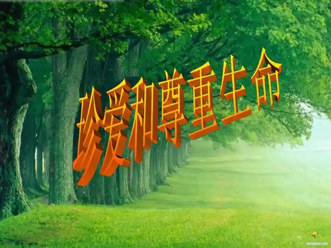 珍爱和尊重生命(初三复习)