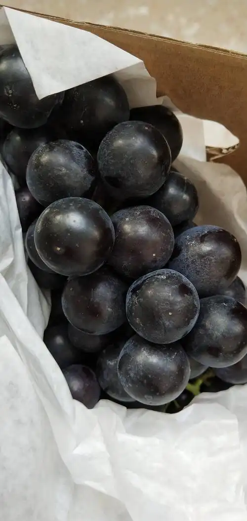 品种夏黑葡萄无籽特甜,黑黑滴甜甜滴,一盒五斤呦!市内免费送货!