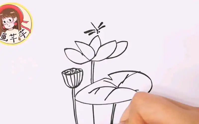 儿童简笔画,荷花,小荷才露尖尖角,早有蜻蜓立上头.来画画吧!