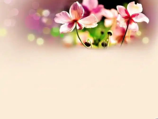 精选一组淡雅粉色ppt宝藏背景图片14张