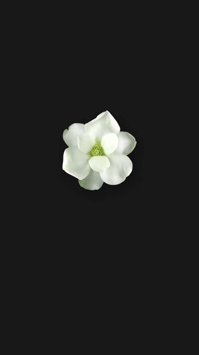 【动态壁纸】华为mate10内置5款动态时光壁纸直装版,超美