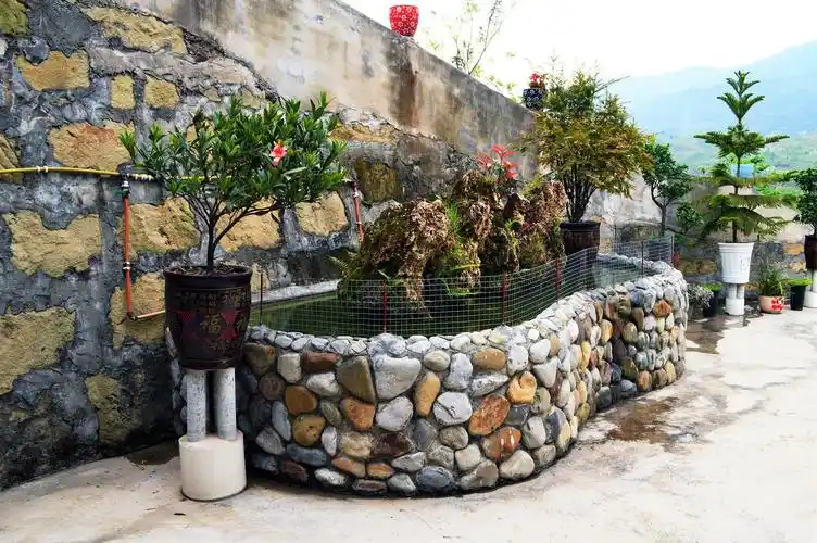 的特色亮点——许多村民在自家庭院中利用鹅卵石修砌了景观水池和花坛