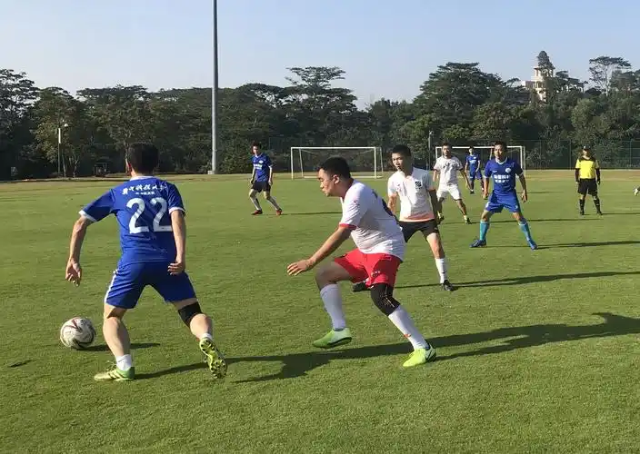 观澜湖业余足球争霸赛落幕 华中科技大学深圳校友会队夺冠