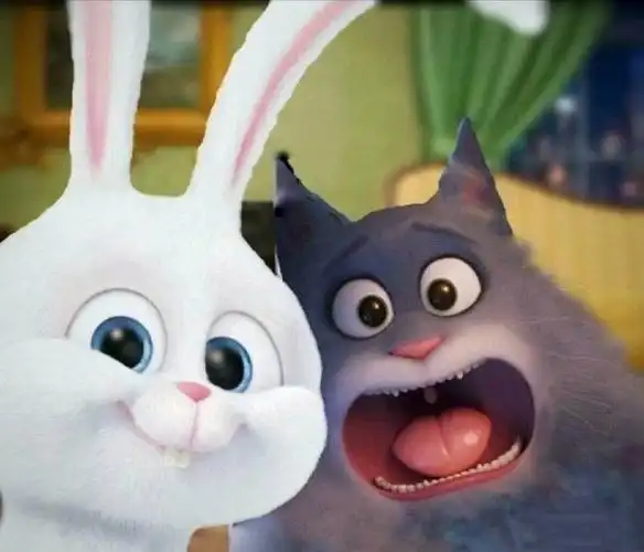 谁有他俩这张照片对应的猫兔图,找不到了