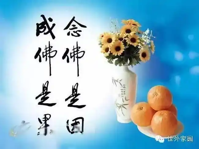 念出一声佛,是多么不可思议来自阿弥陀佛与我同行