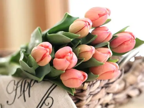 粉红色的郁金香,花束,花蕾 壁纸