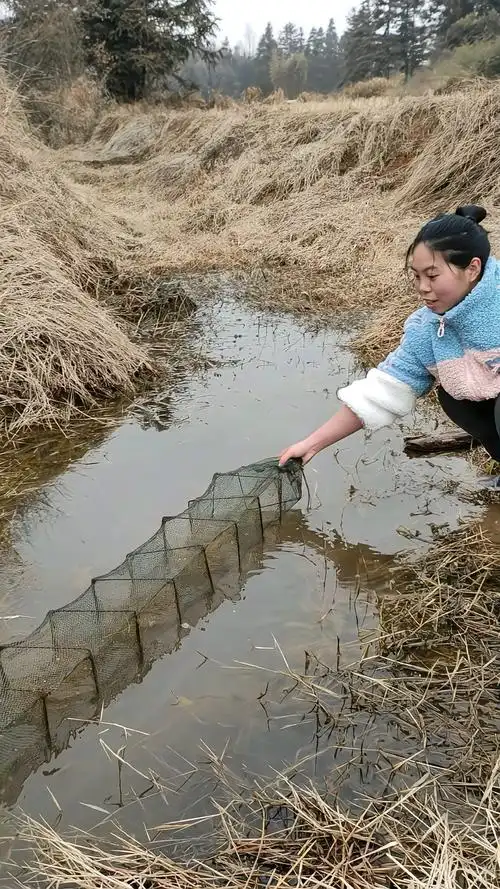 记录我的农村生活放地笼也不知道能不能捕到鱼