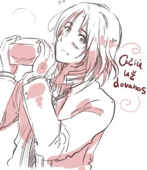 【托里斯(立/陶/宛)|本家|官方】【二次元|动漫|aph|黑塔利亚】