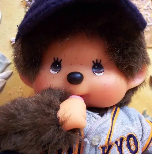 可爱的娃娃蒙奇奇